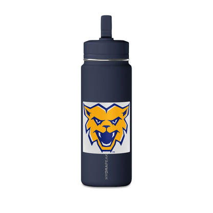 Mini Water Bottle, 20oz