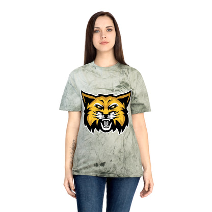 Color Blast School Spirit Tee