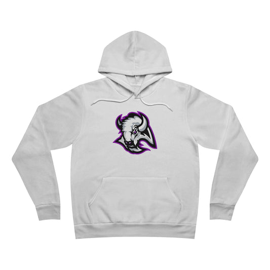 Sponge Fleece Pullover Hoodie