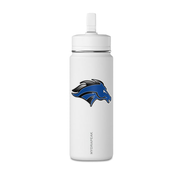 Mini Water Bottle, 20oz
