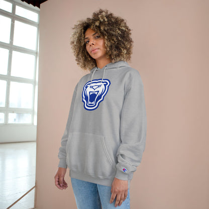 Champion Powerblend Fleece Pullover Hoodie