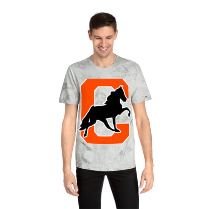 Color Blast School Spirit Tee