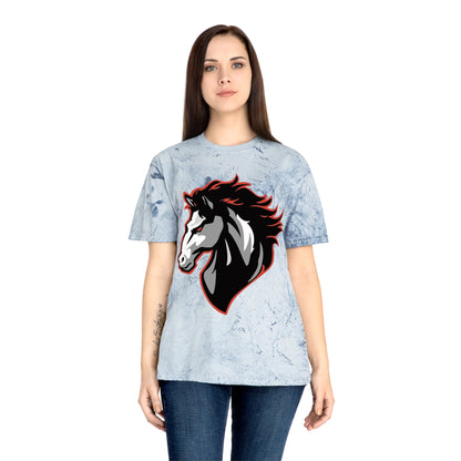 Color Blast School Spirit Tee