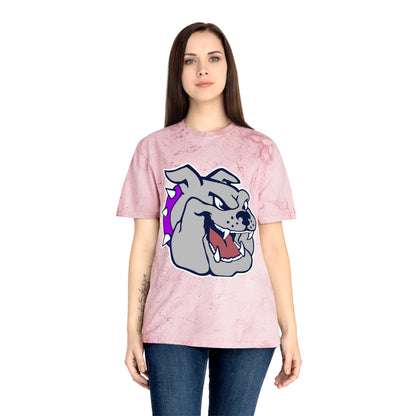 Color Blast School Spirit Tee