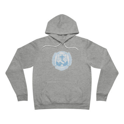 Sponge Fleece Pullover Hoodie