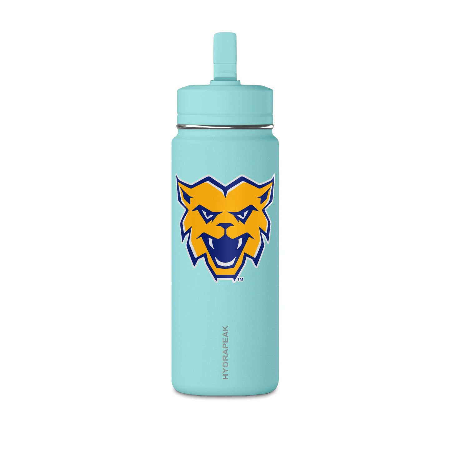 Mini Water Bottle, 20oz