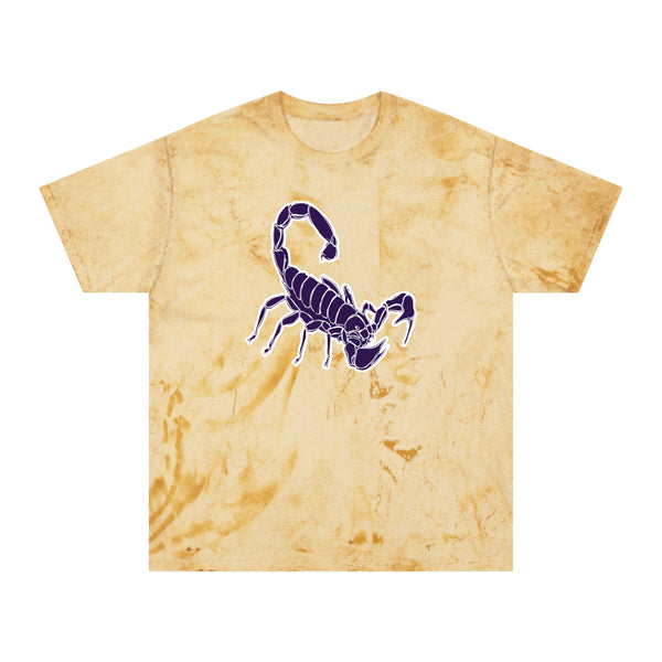 Color Blast School Spirit Tee