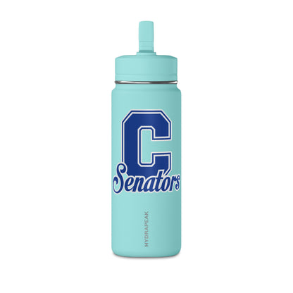 Mini Water Bottle, 20oz