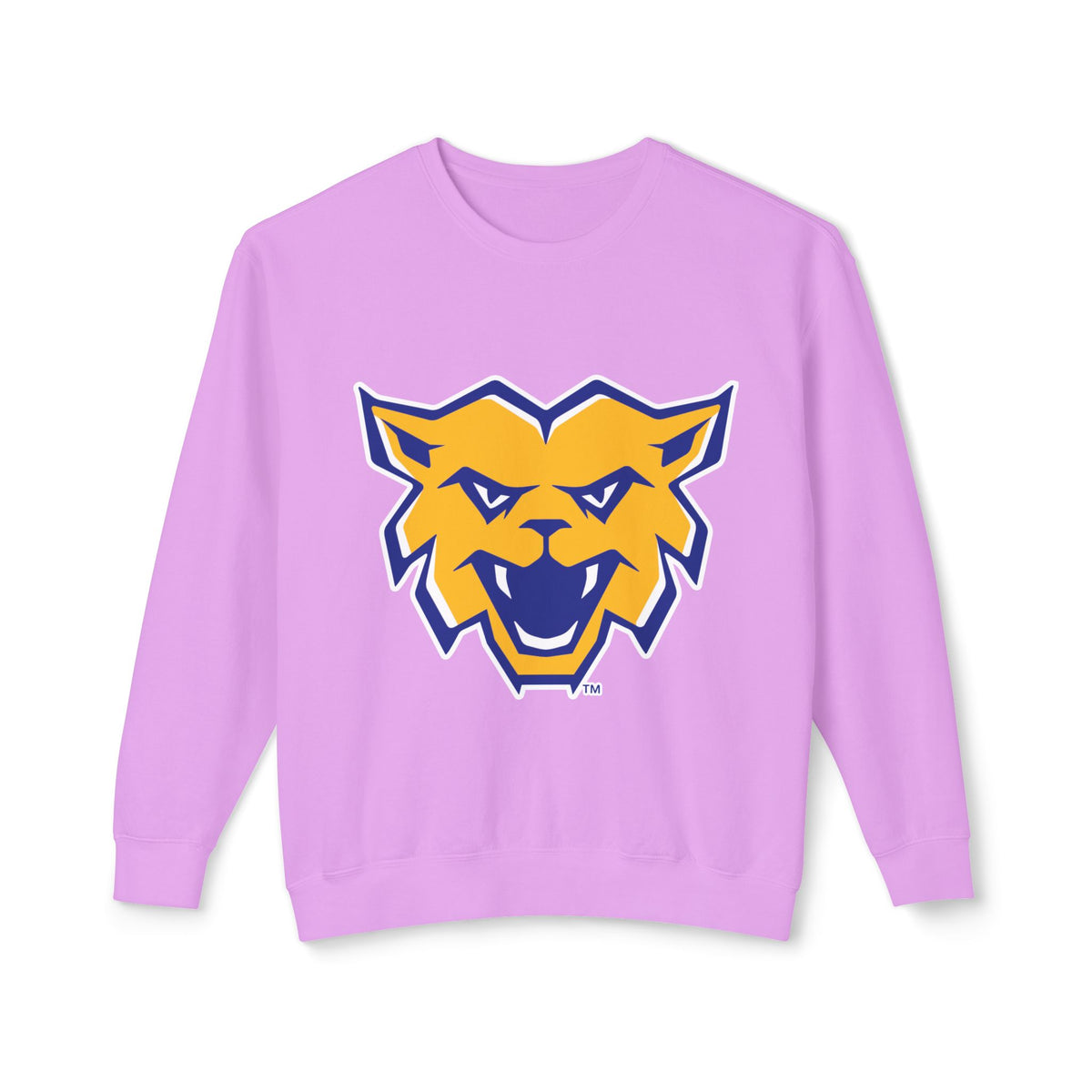 Lightweight Crewneck Sweatshirt