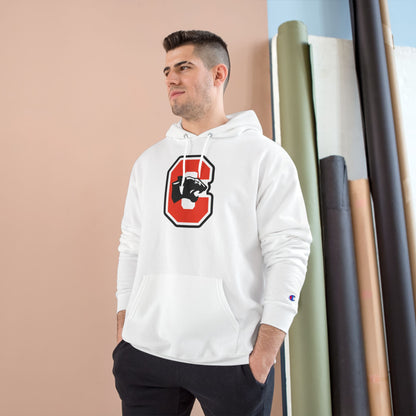 Champion Powerblend Fleece Pullover Hoodie