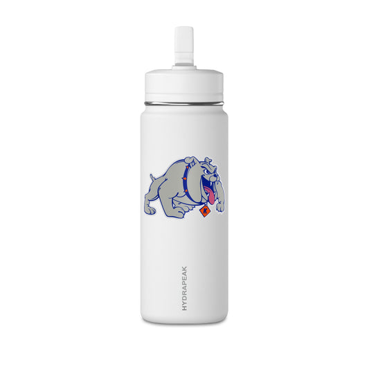 Mini Water Bottle, 20oz