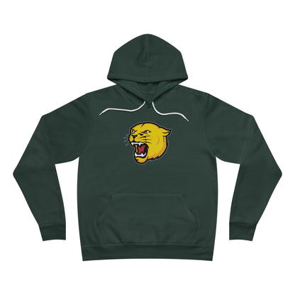 Sponge Fleece Pullover Hoodie