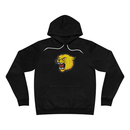 Sponge Fleece Pullover Hoodie