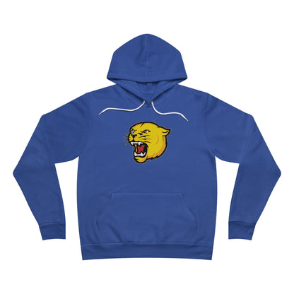 Sponge Fleece Pullover Hoodie