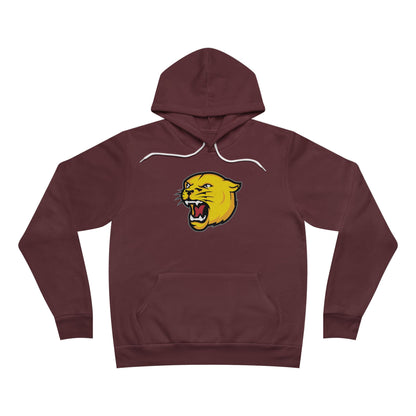 Sponge Fleece Pullover Hoodie