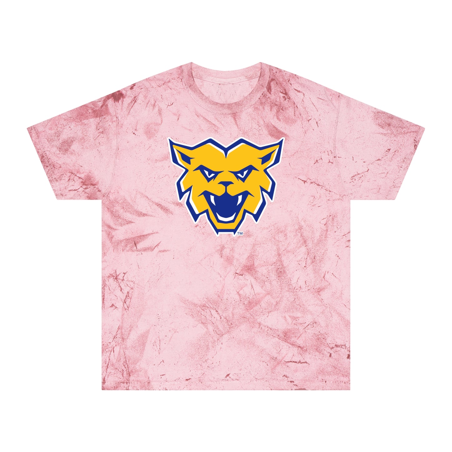 Color Blast School Spirit Tee