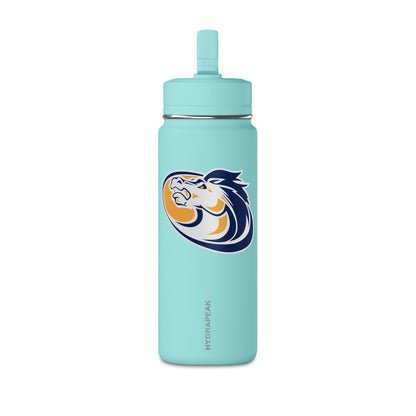 Mini Water Bottle, 20oz