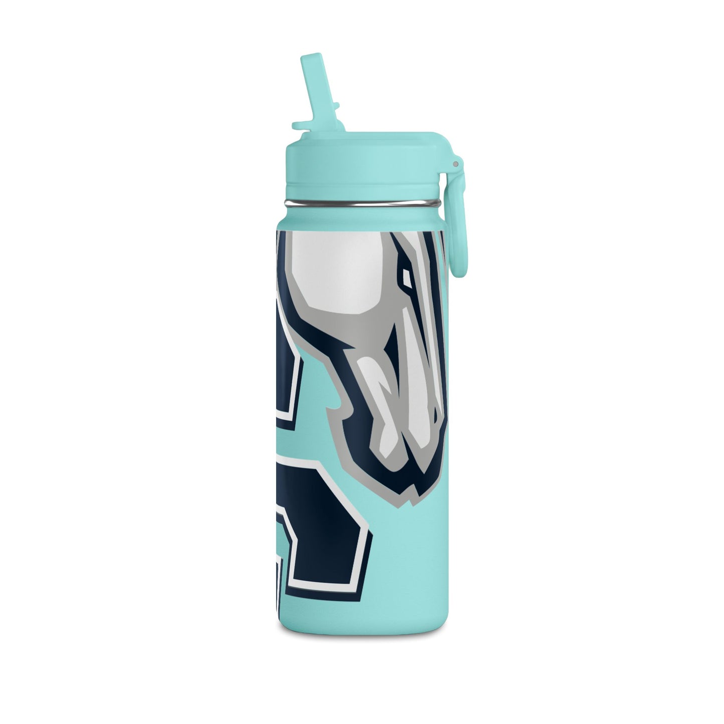 Mini Water Bottle, 20oz