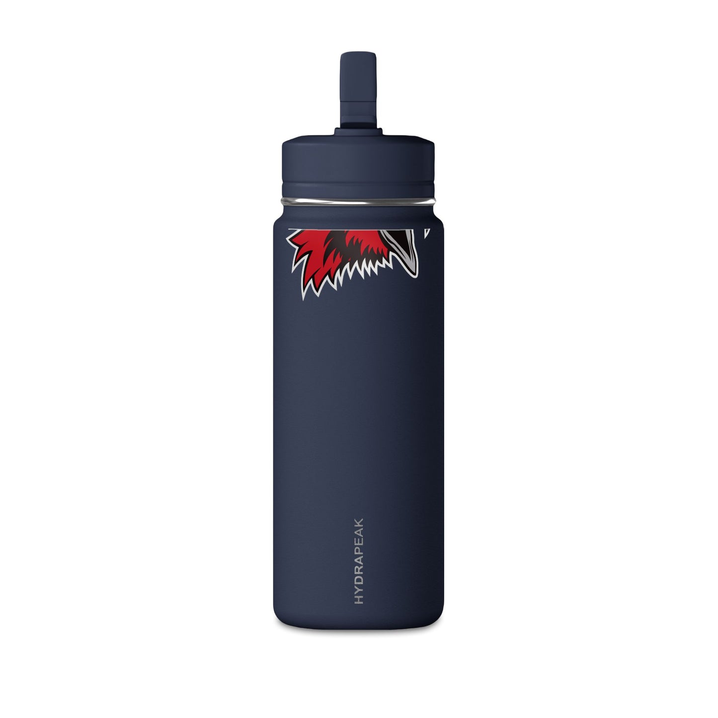 Mini Water Bottle, 20oz