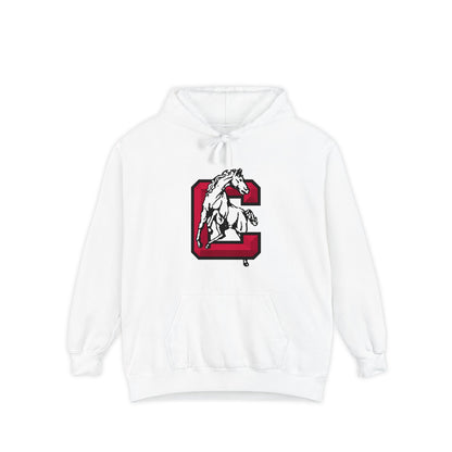 Heavyweight Garment-Dyed Hoodie