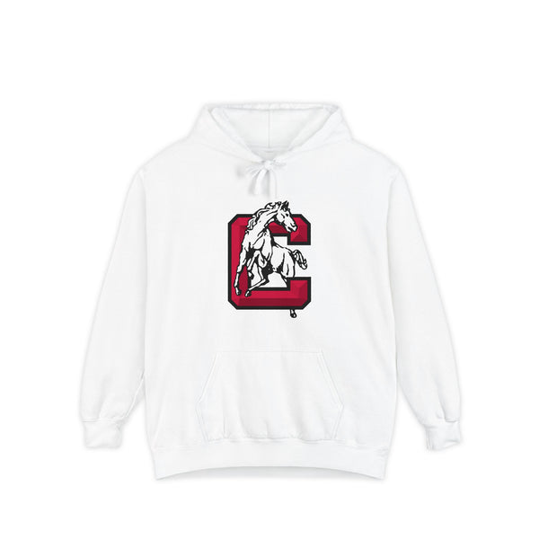 Heavyweight Garment-Dyed Hoodie