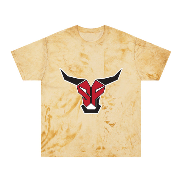Color Blast School Spirit Tee