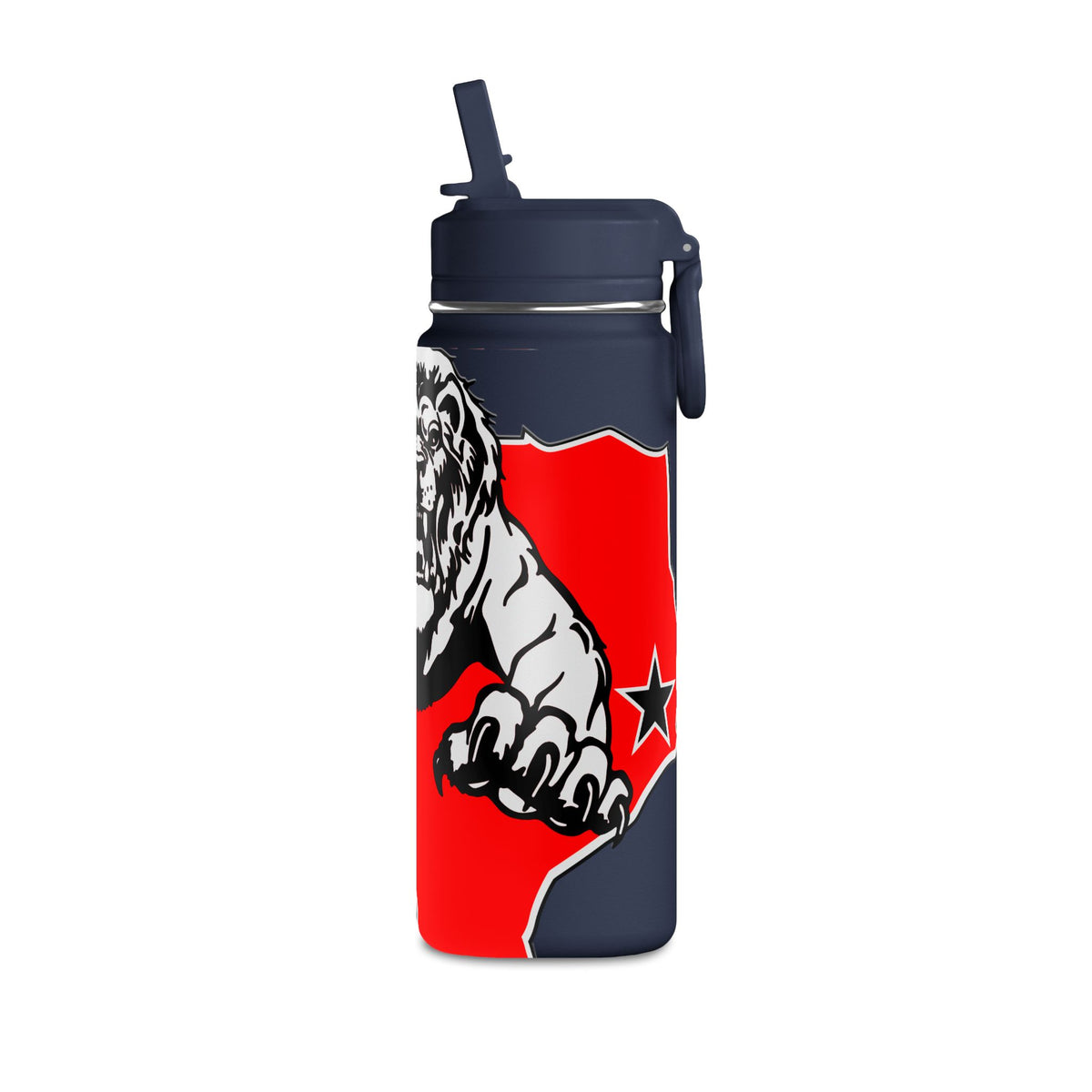 Mini Water Bottle, 20oz