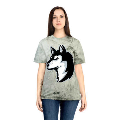 Color Blast School Spirit Tee