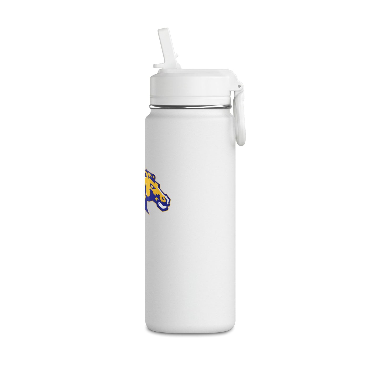 Mini Water Bottle, 20oz