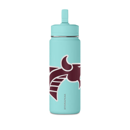 Mini Water Bottle, 20oz