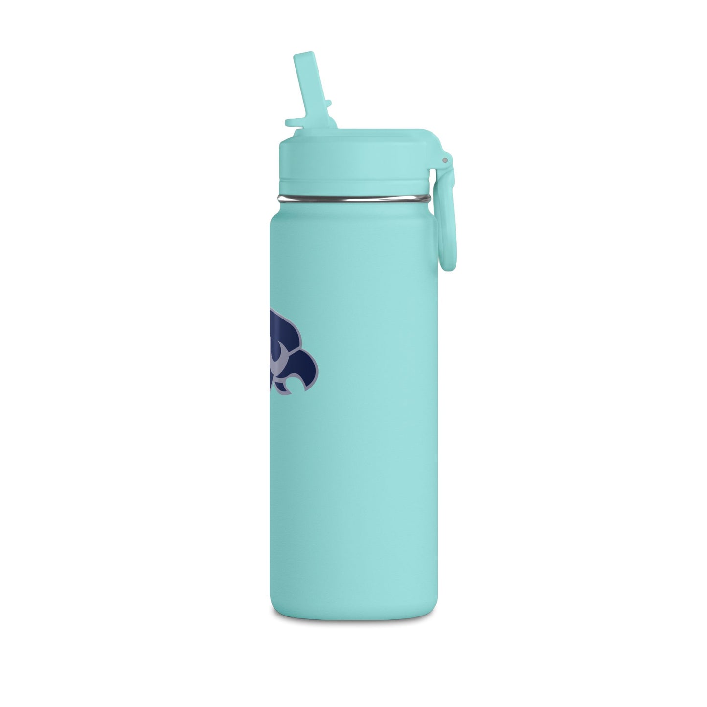 Mini Water Bottle, 20oz