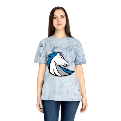 Color Blast School Spirit Tee