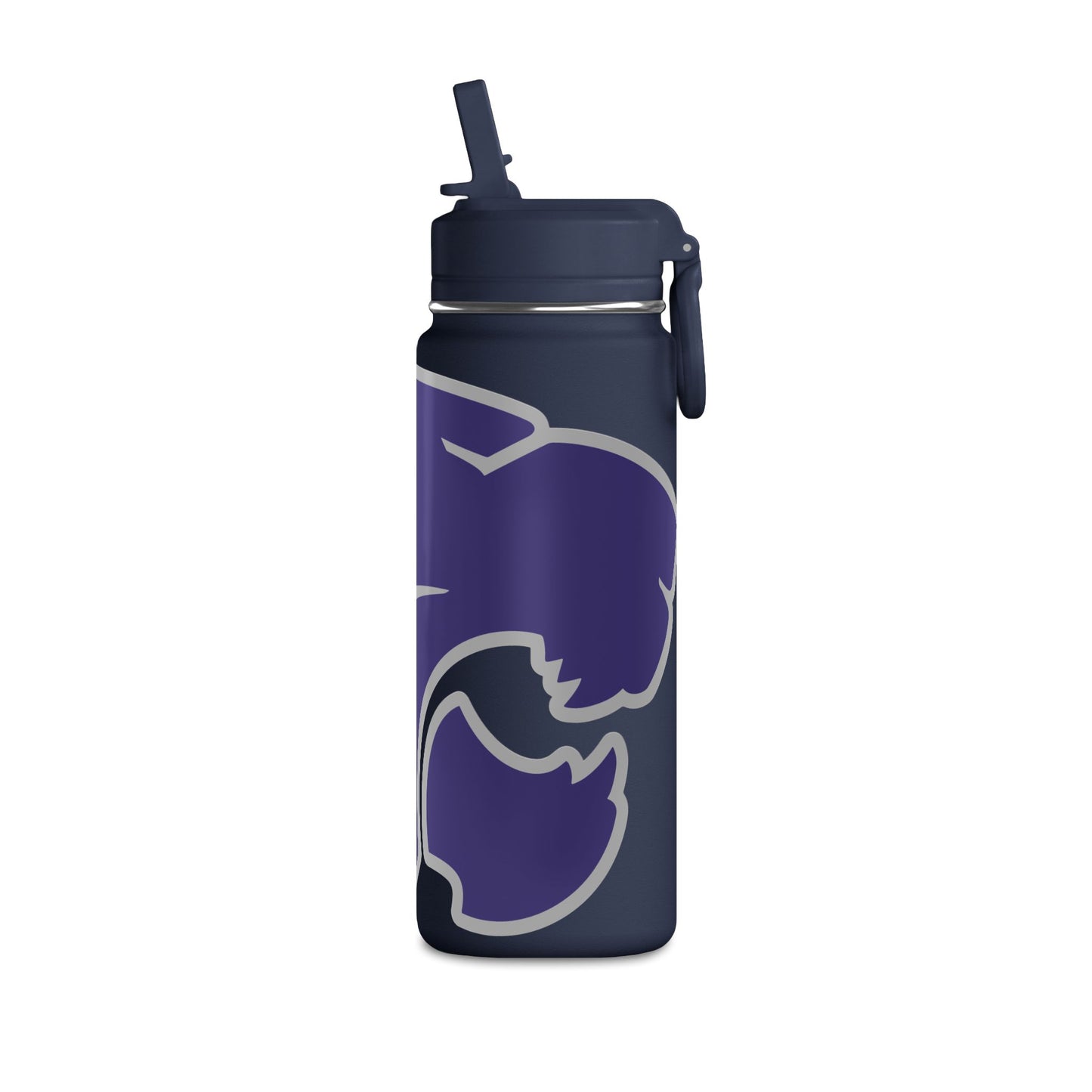 Mini Water Bottle, 20oz