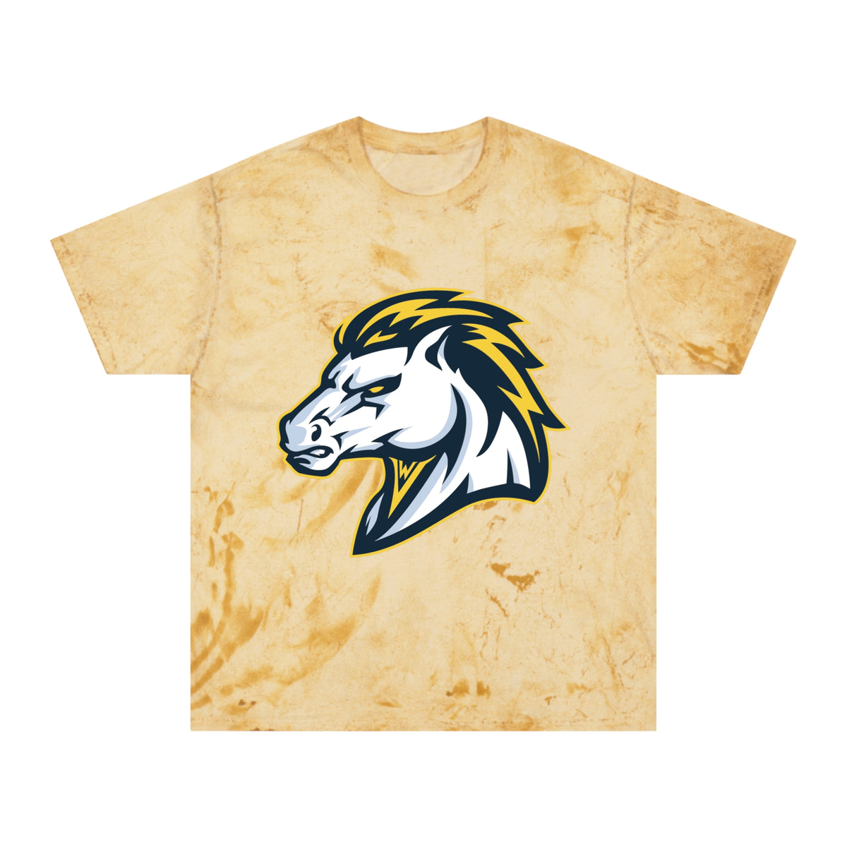 Color Blast School Spirit Tee