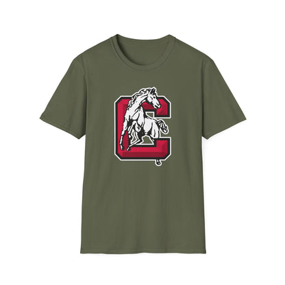 Softstyle T-Shirt