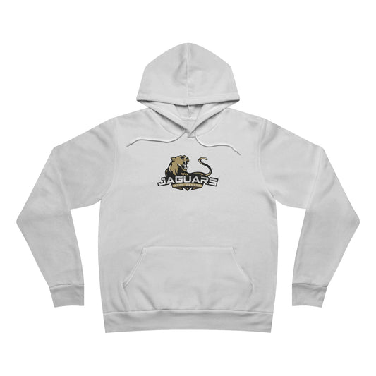 Sponge Fleece Pullover Hoodie