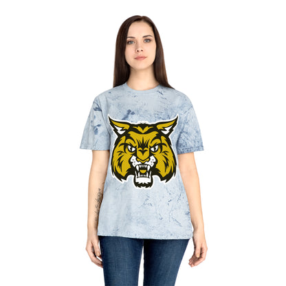 Color Blast School Spirit Tee