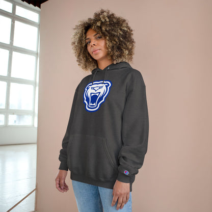 Champion Powerblend Fleece Pullover Hoodie