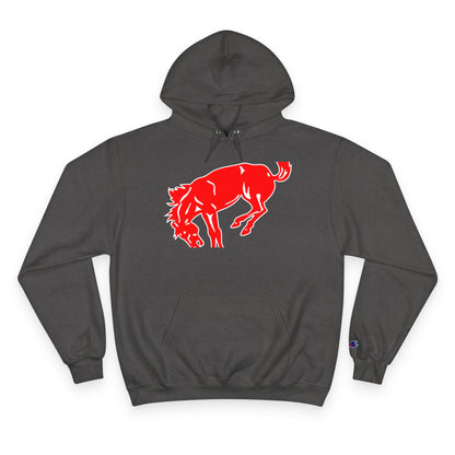 Champion Powerblend Fleece Pullover Hoodie