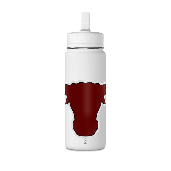 Mini Water Bottle, 20oz