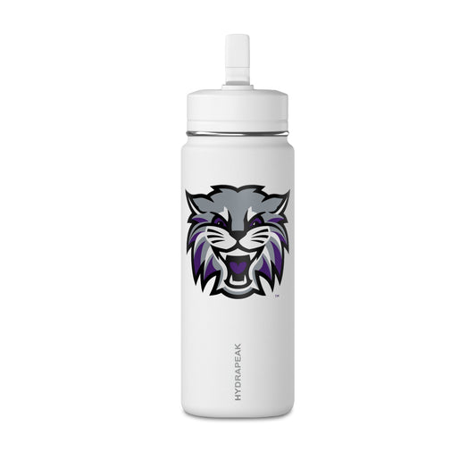 Mini Water Bottle, 20oz