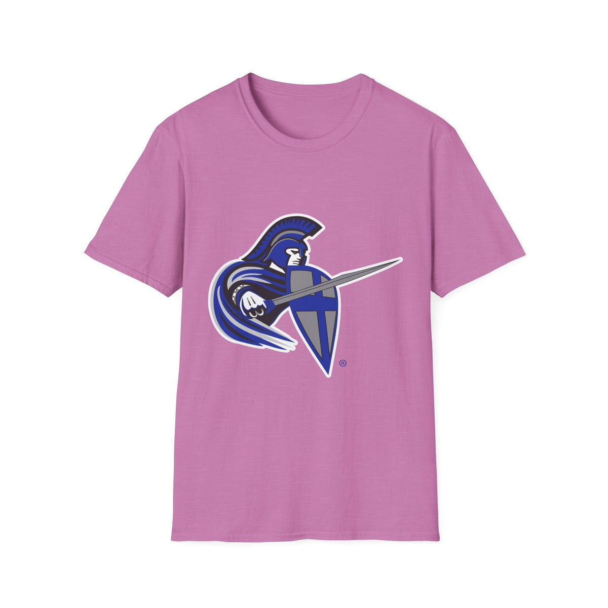 Softstyle T-Shirt