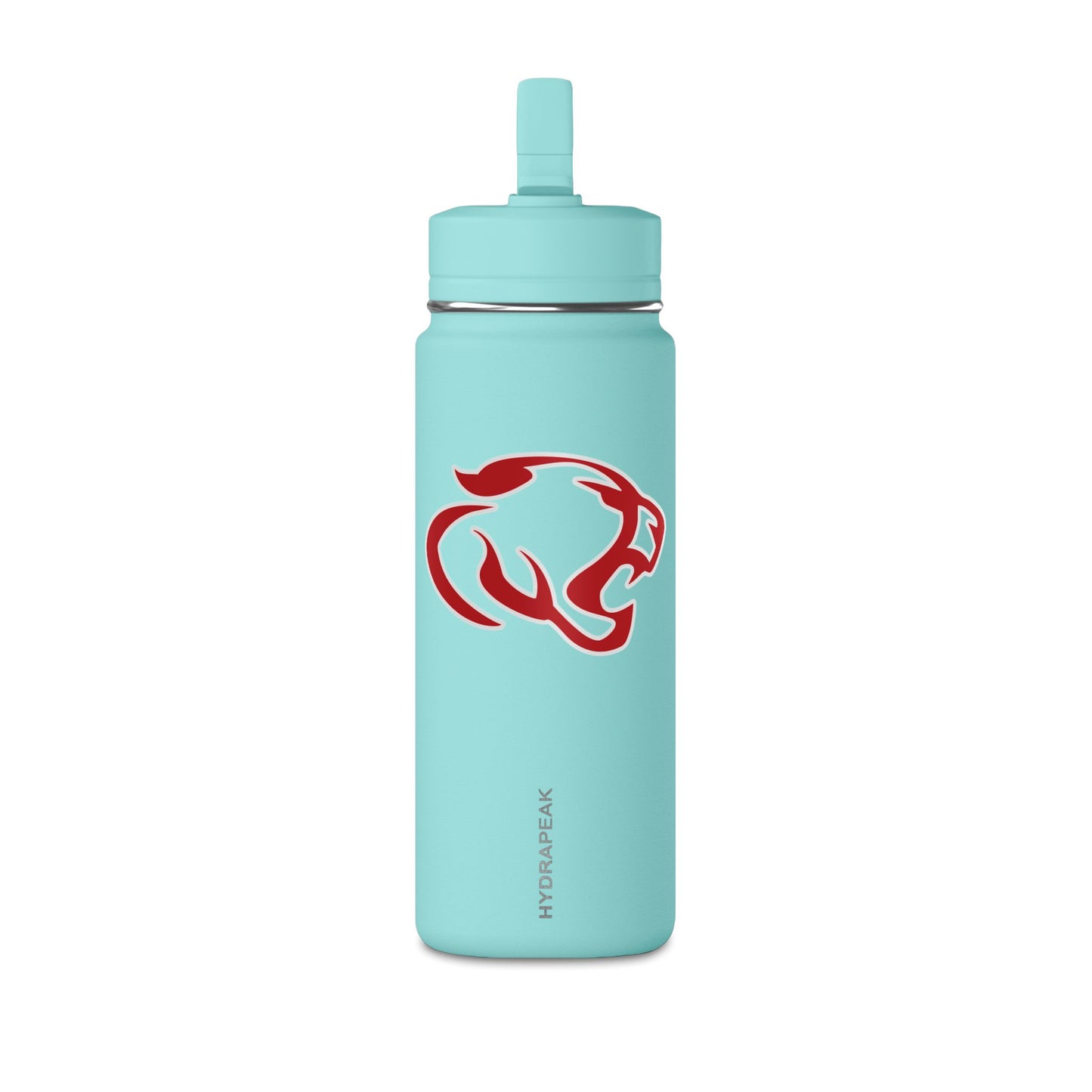 Mini Water Bottle, 20oz
