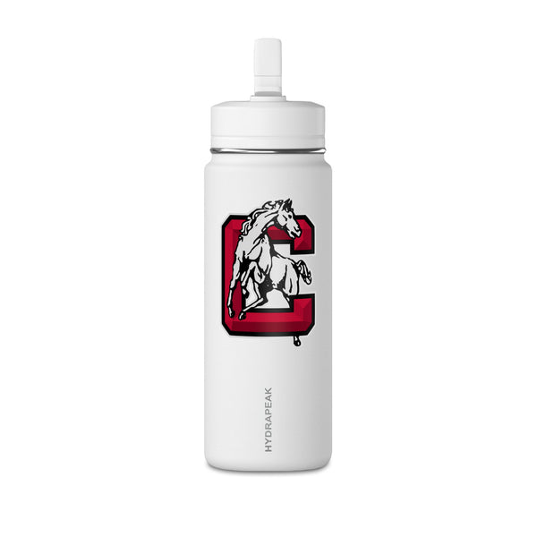 Mini Water Bottle, 20oz