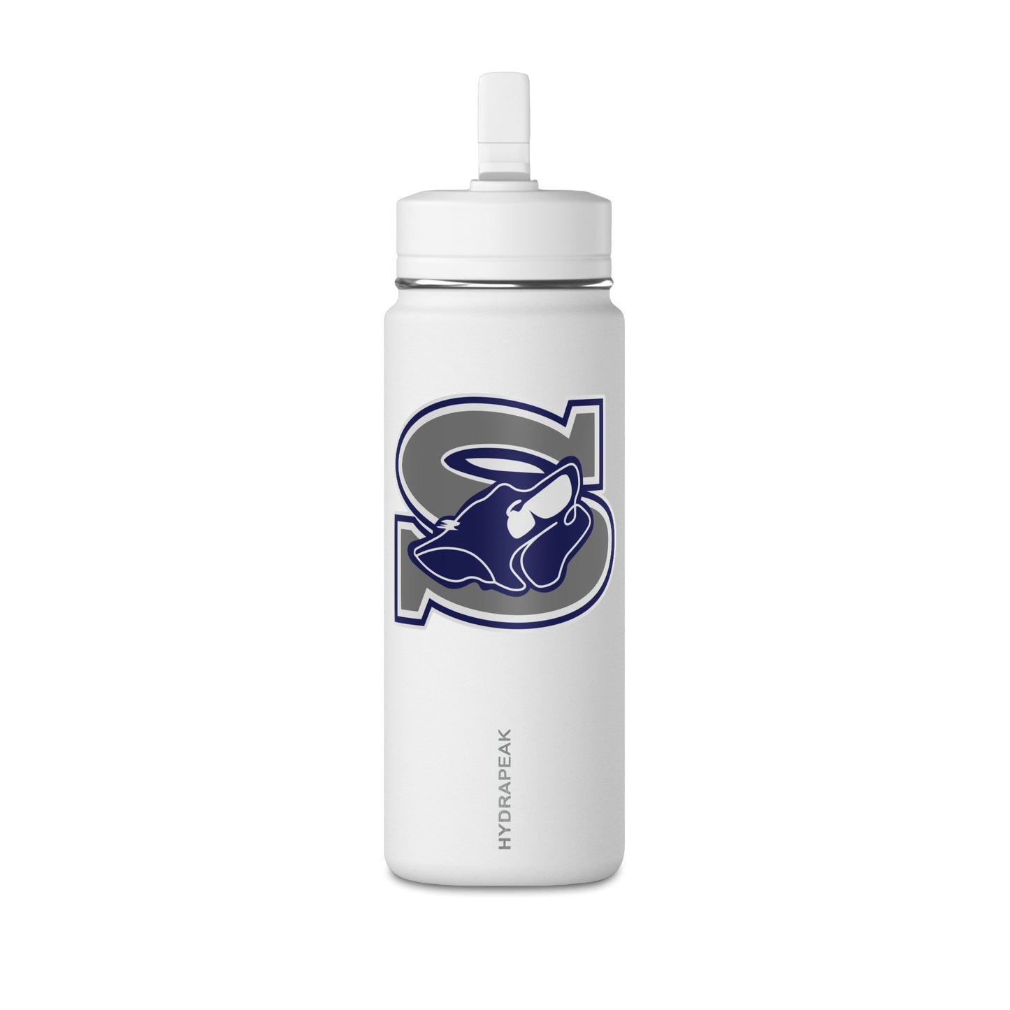 Mini Water Bottle, 20oz