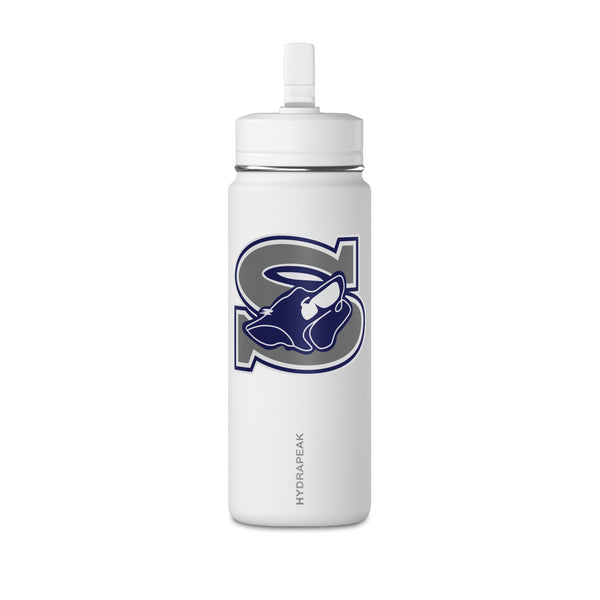 Mini Water Bottle, 20oz