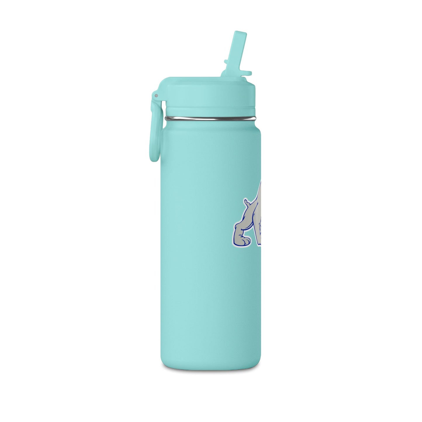 Mini Water Bottle, 20oz