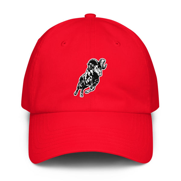 Design 2 – Red