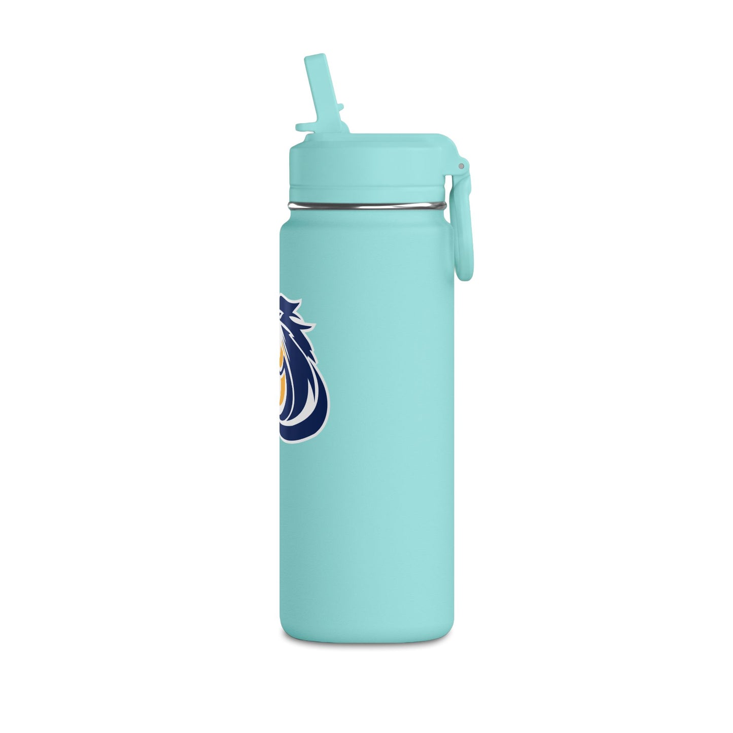 Mini Water Bottle, 20oz