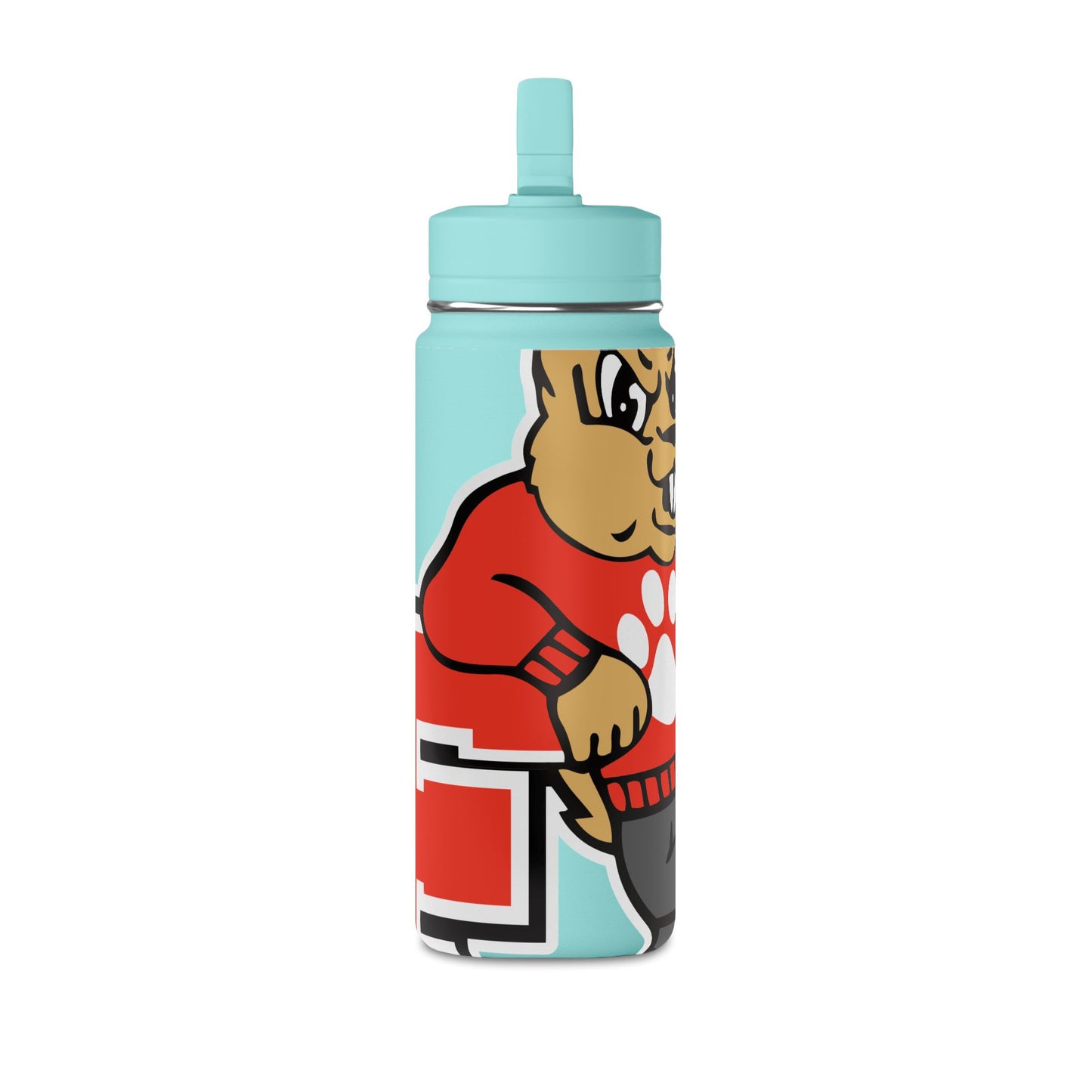 Mini Water Bottle, 20oz